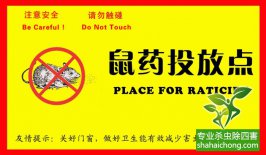 老鼠入室如何消灭？灭鼠公司专业分析